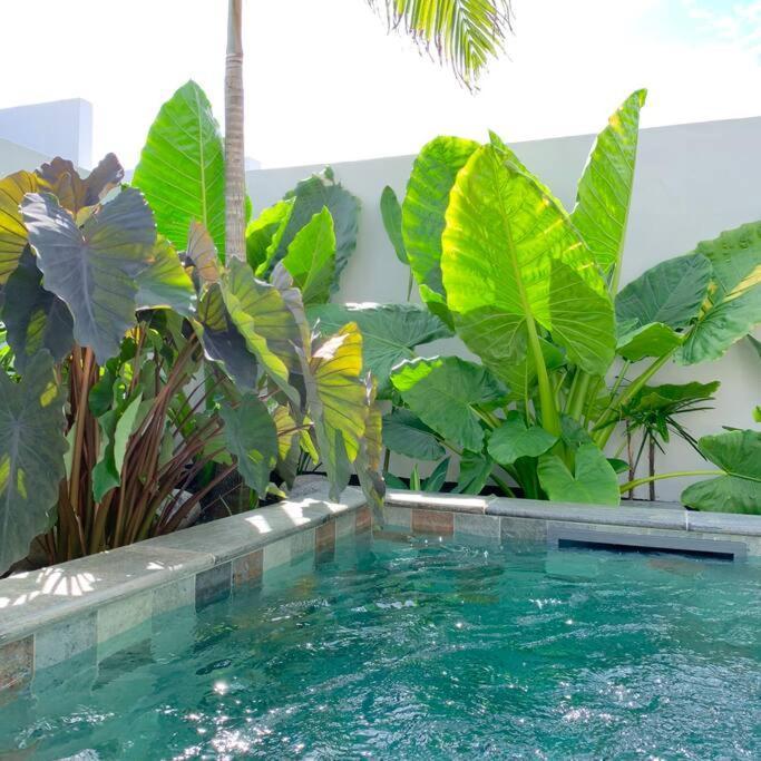 Le Yucca 974 By J&V Villa แซ็ง-ปีแยร์ ภายนอก รูปภาพ
