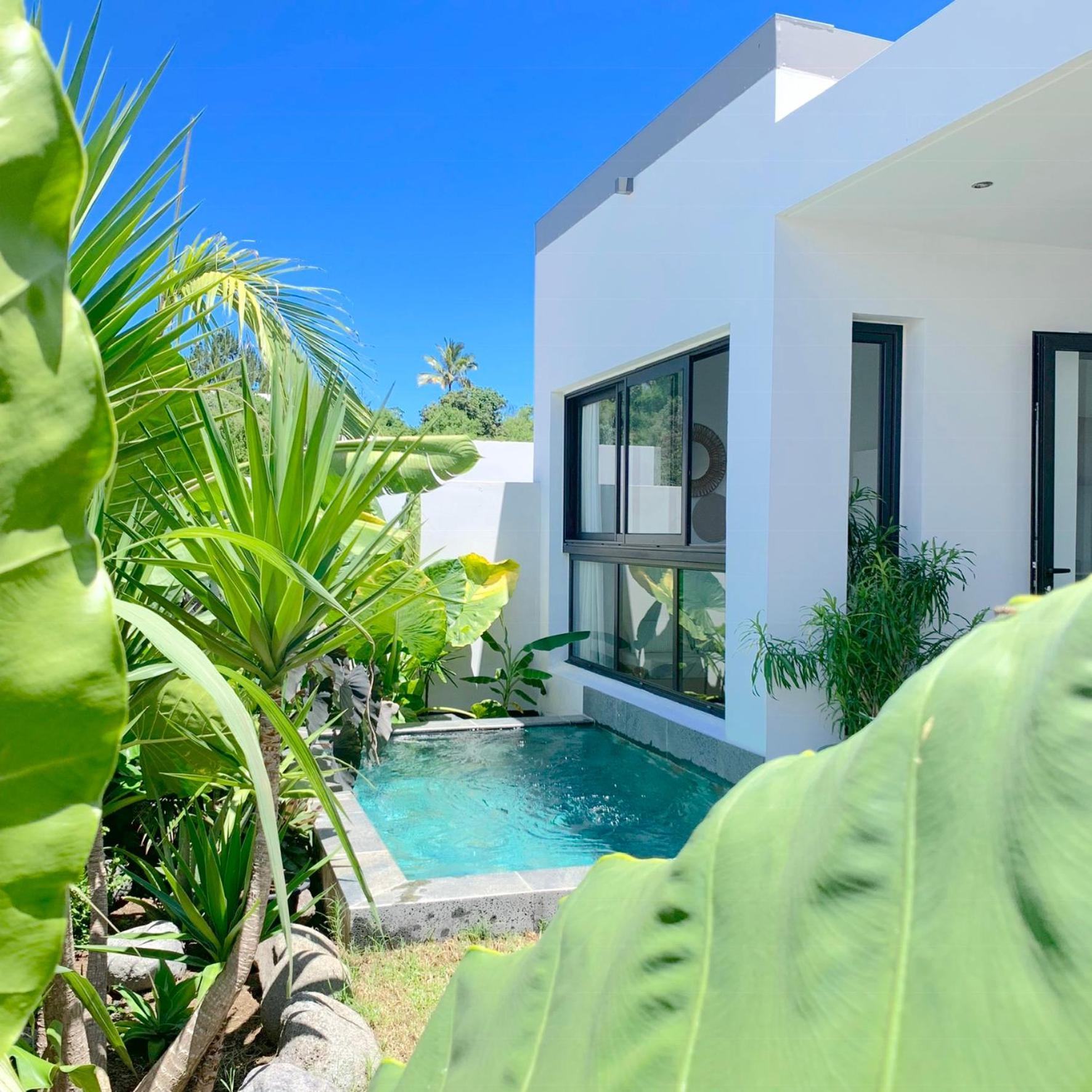 Le Yucca 974 By J&V Villa แซ็ง-ปีแยร์ ภายนอก รูปภาพ