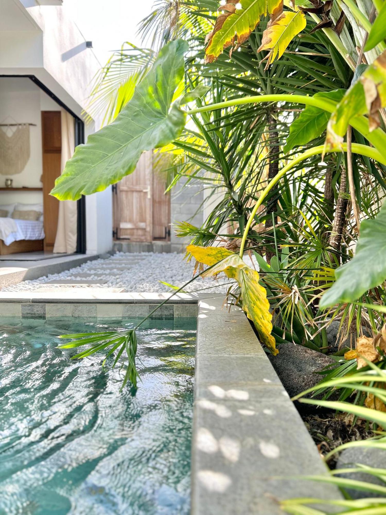 Le Yucca 974 By J&V Villa แซ็ง-ปีแยร์ ภายนอก รูปภาพ